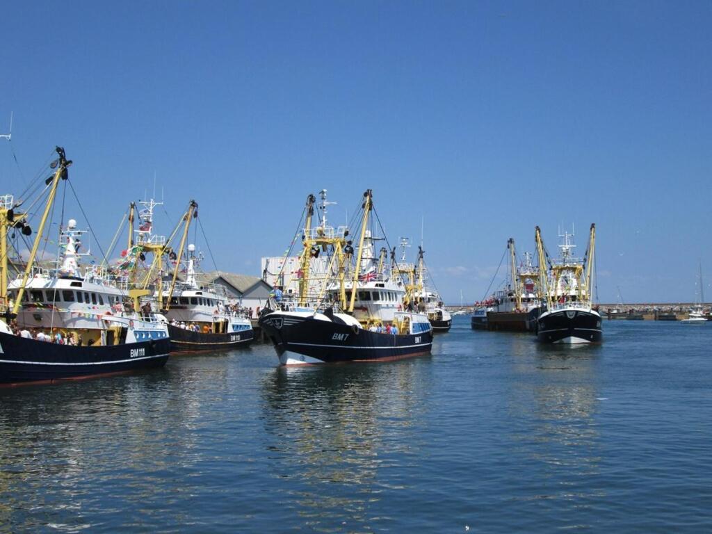 A Modern And Cosy Apartment Just Yards From Brixham'S Bustling Harbourside Zewnętrze zdjęcie